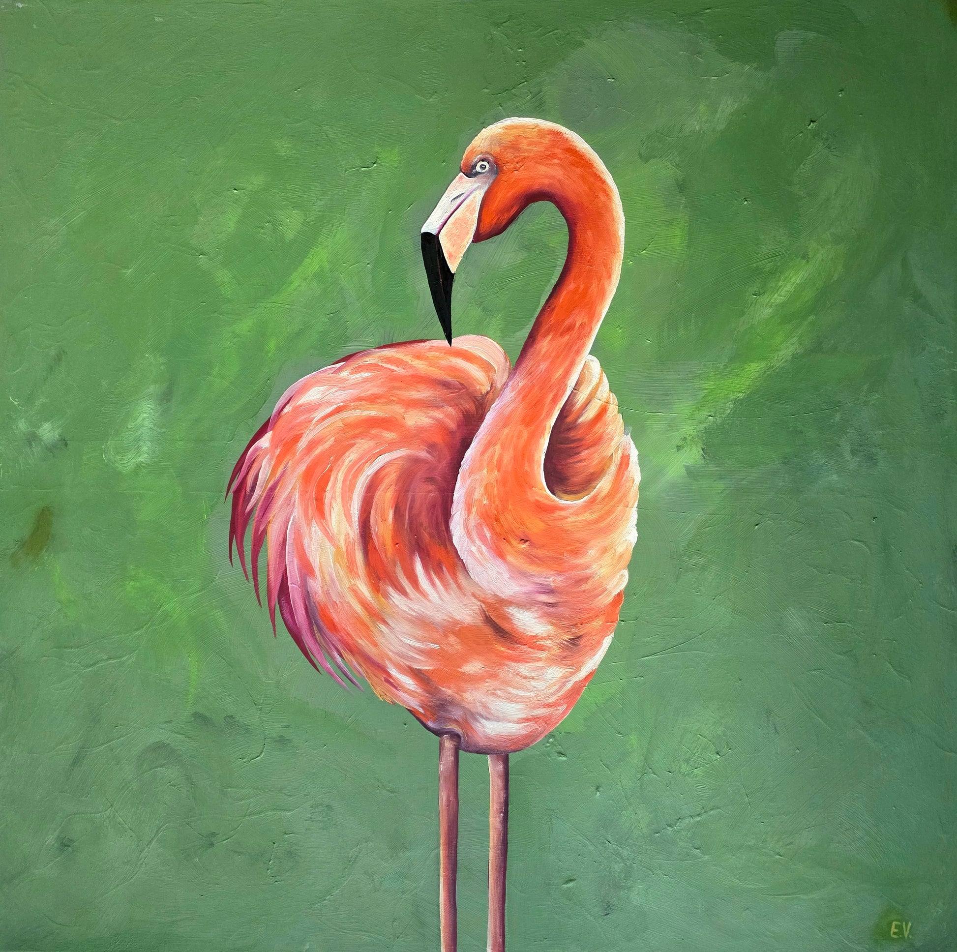 "Orange flamingo"