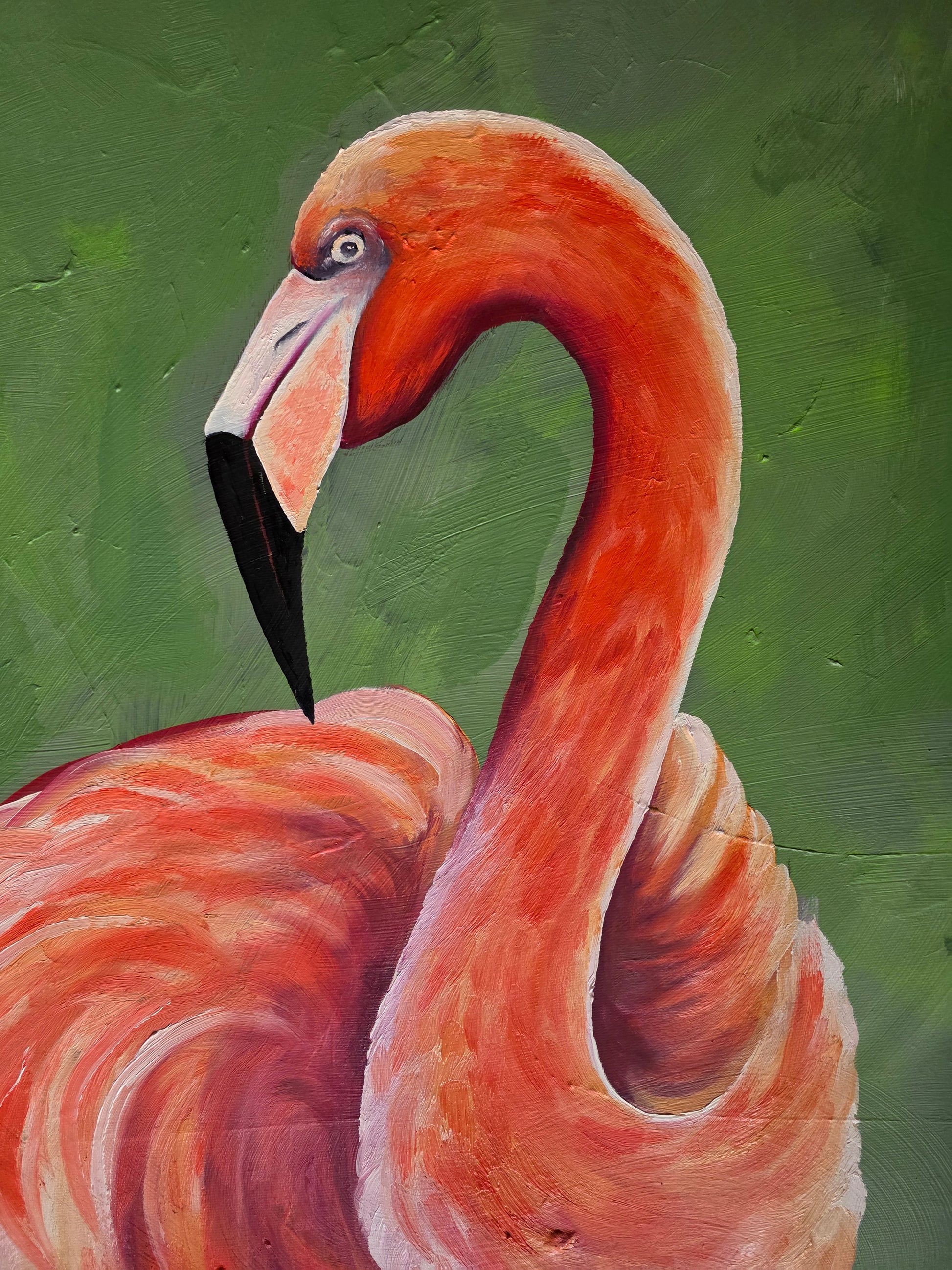 "Orange flamingo"