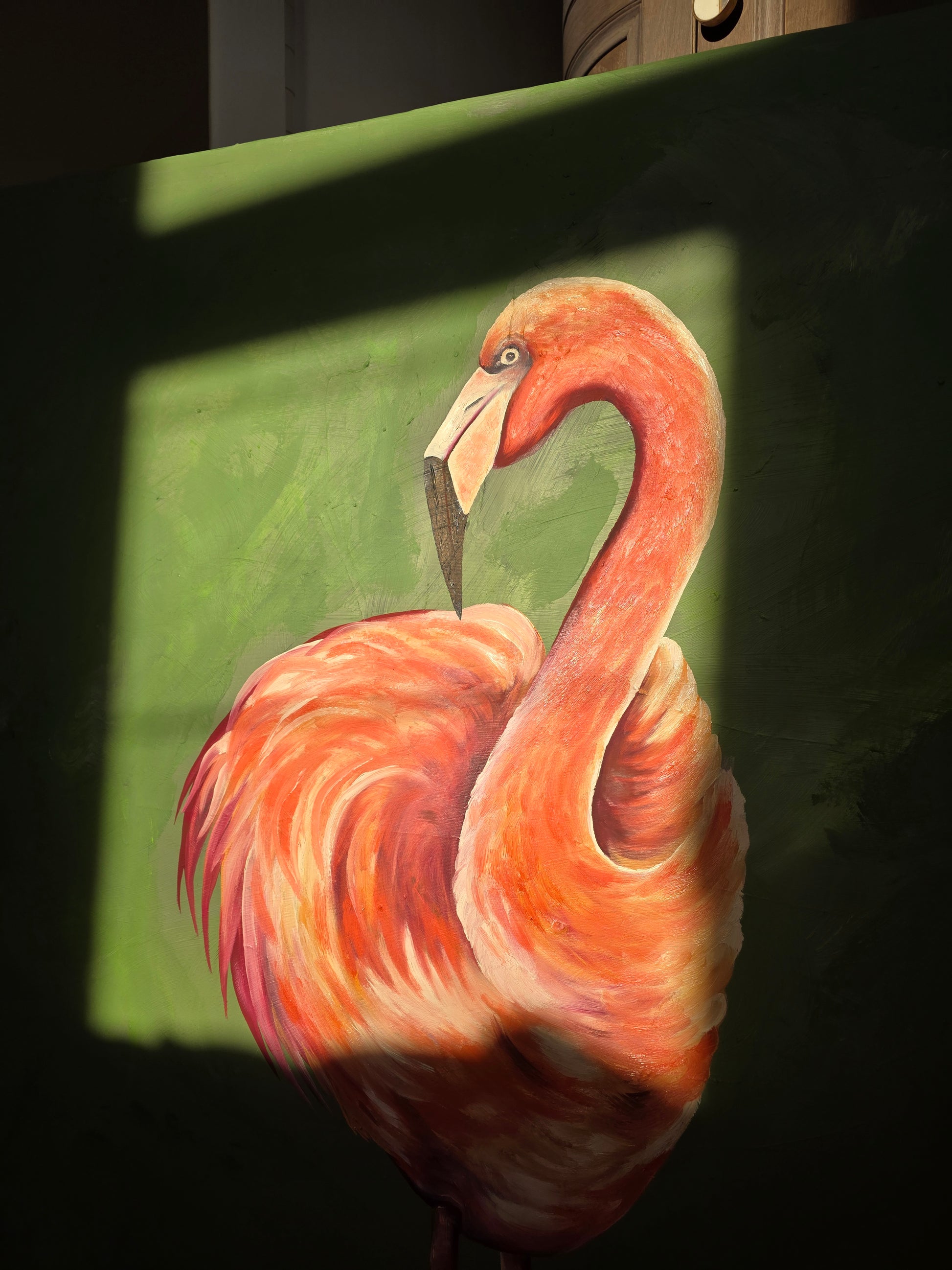 "Orange flamingo"