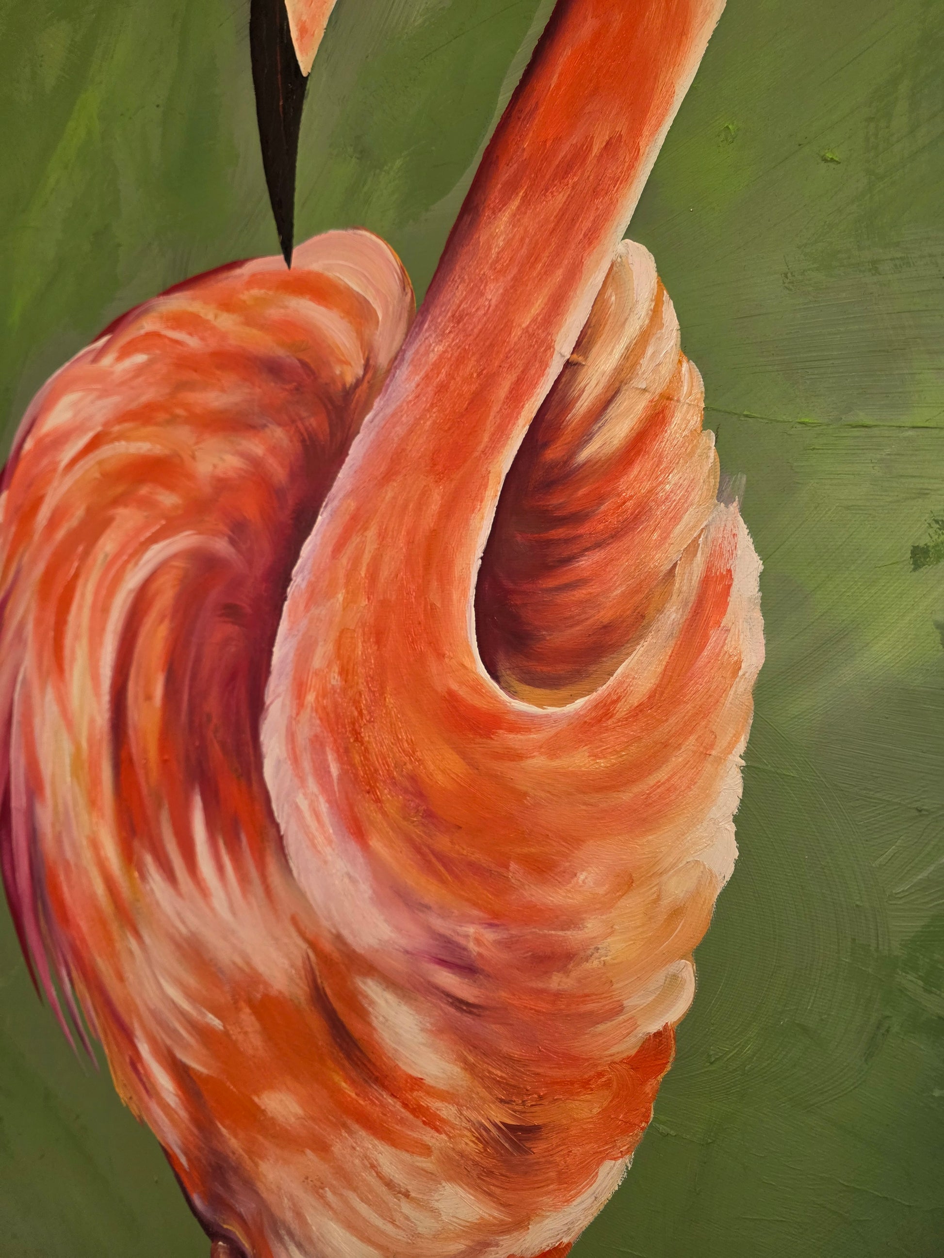 "Orange flamingo"
