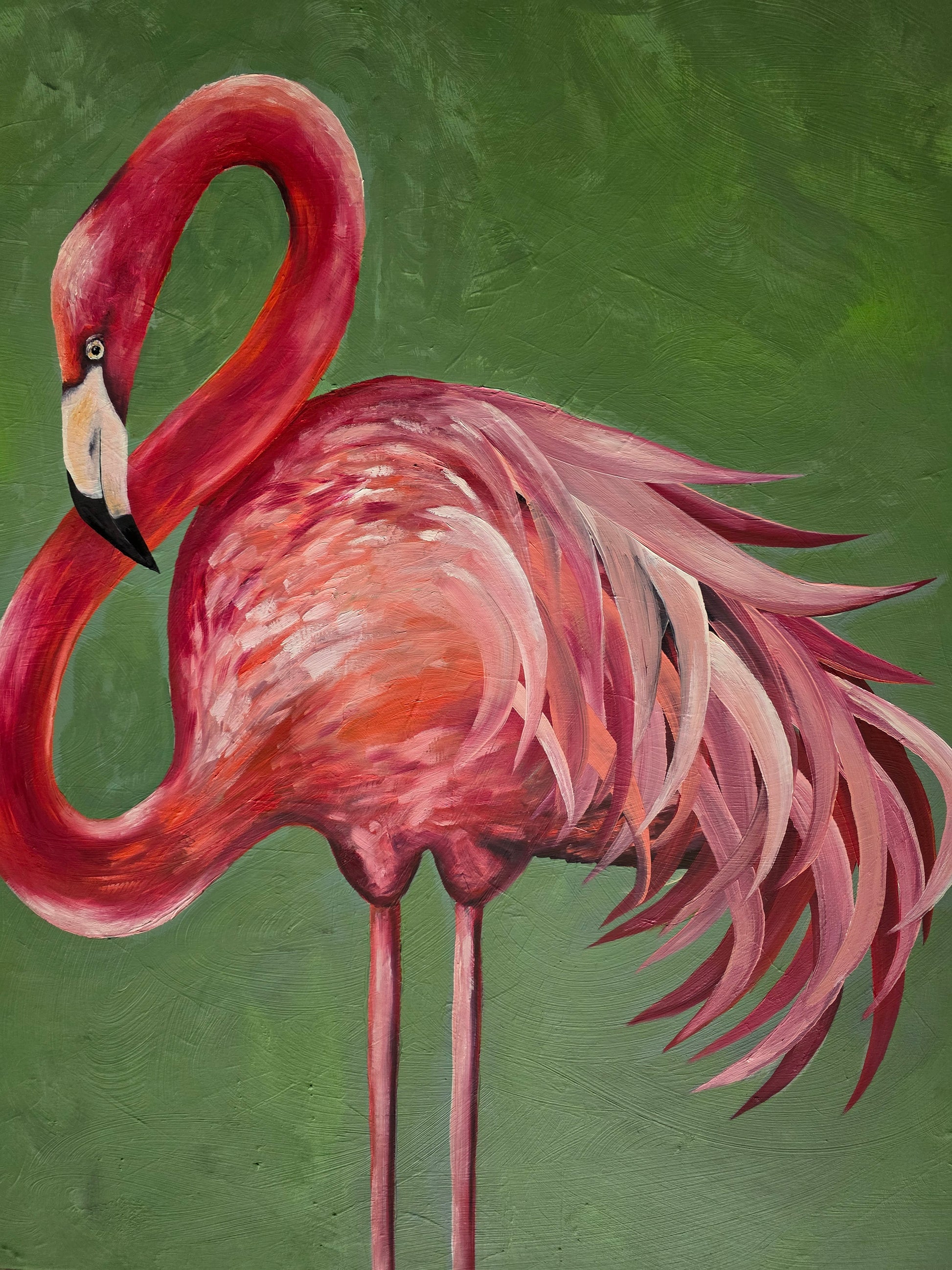 "Pink flamingo"