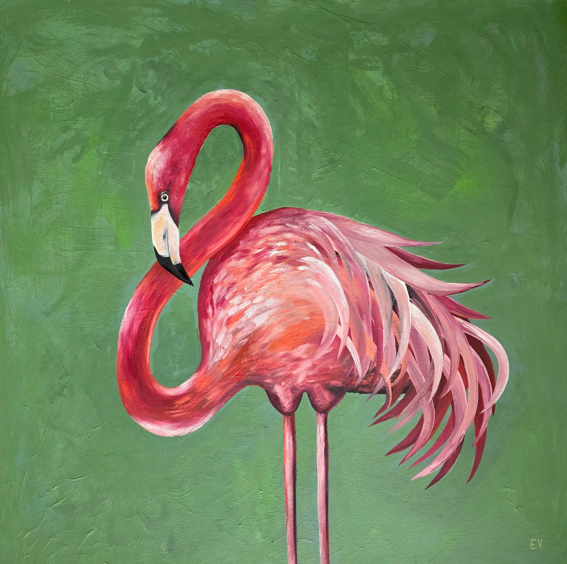 "Pink flamingo"