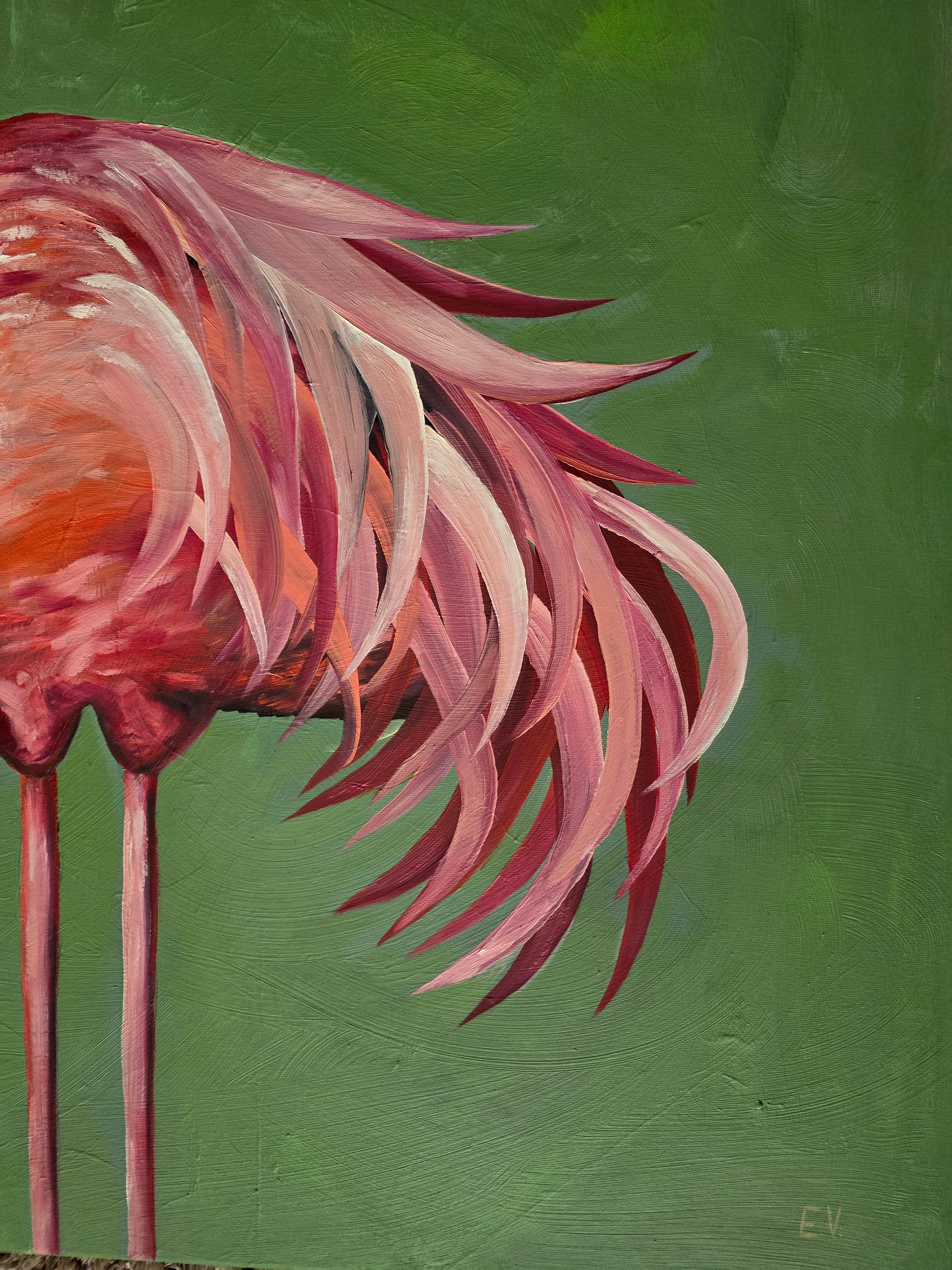 "Pink flamingo"