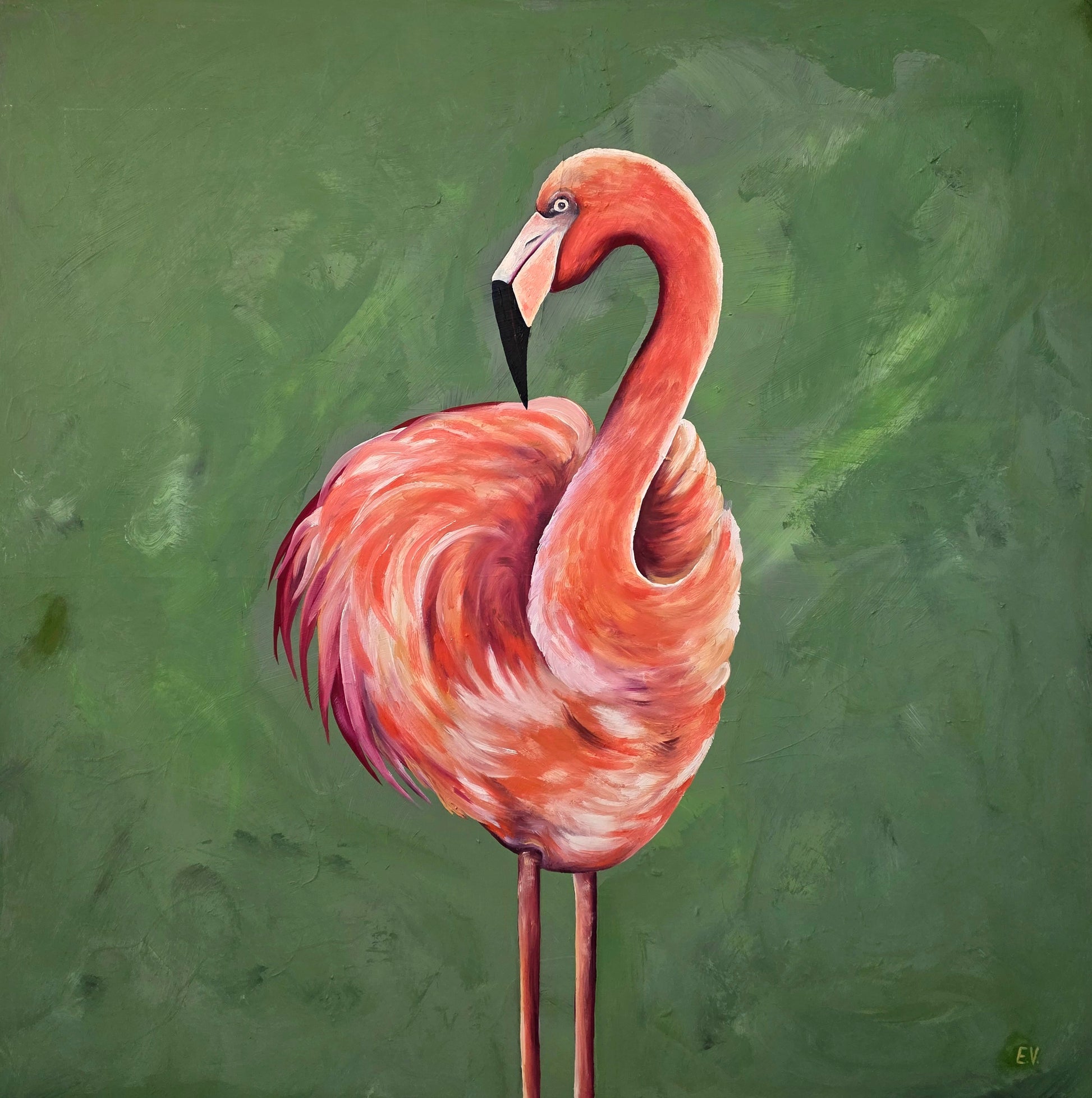 "Orange flamingo"