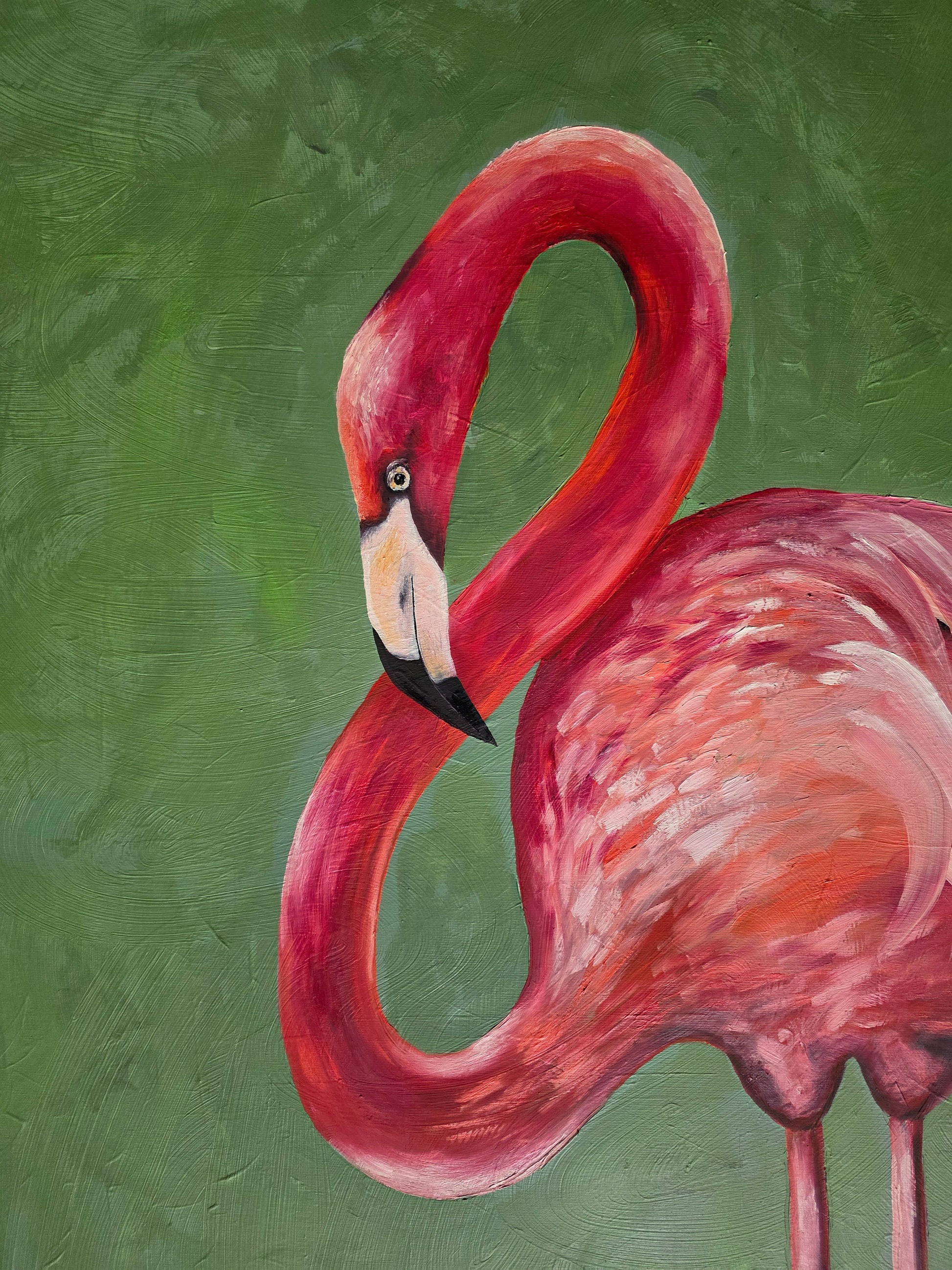 "Pink flamingo"
